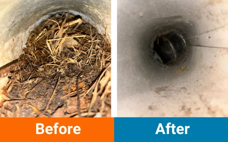 dryer vent nest cleaning Before and After - Williams and sons